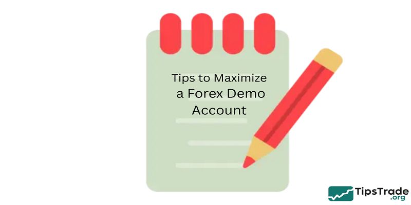Tips to Maximize a Forex Demo Account