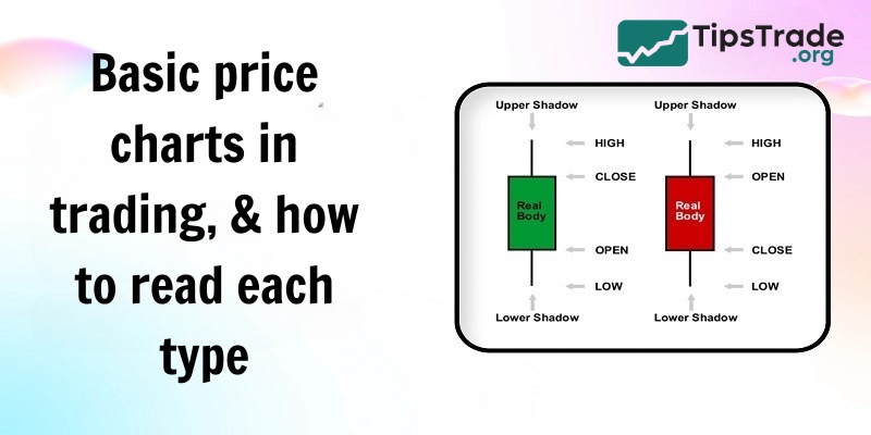 Basic price charts in trading and how to read each type