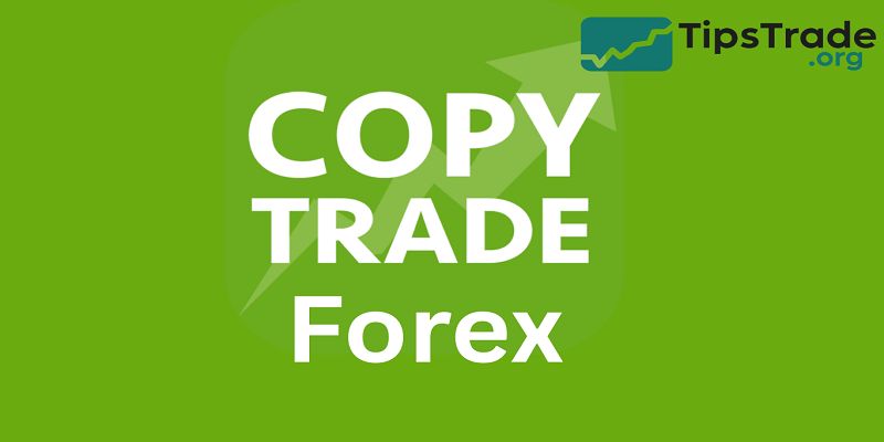 Copy Trade Forex: Key Tips to Maximize Your Profits