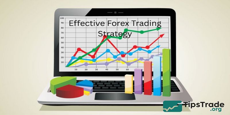 Effective Forex Trading Strategy: A Complete Guide for Consistent Profits