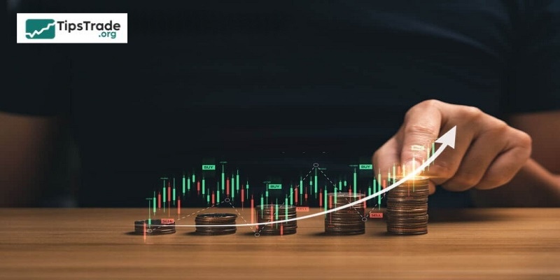 Forex Capital Management Tips: The Key To Success For Professional Traders