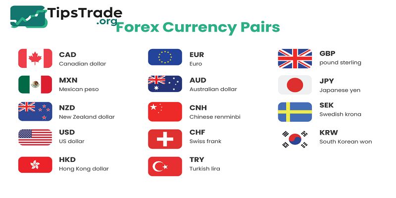 Forex currency pairs: Tips for Choosing the Best Pairs to Trade