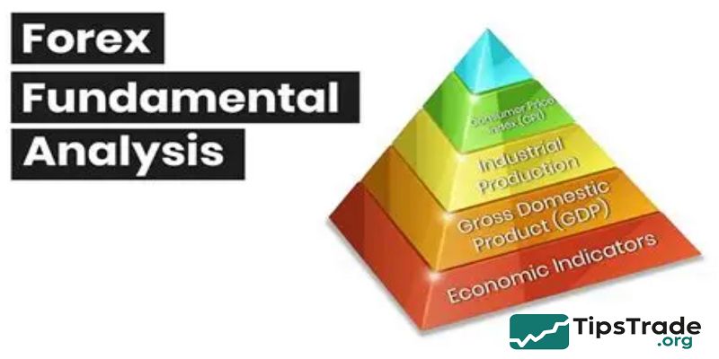 What Is Forex Fundamental Analysis? Key Indicators & Strategies Explained