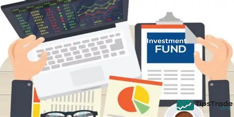 Investment funds optimize returns and minimize risks effectively