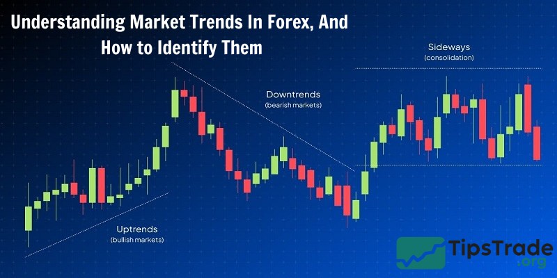 Understanding Market Trends In Forex And How to Identify Them