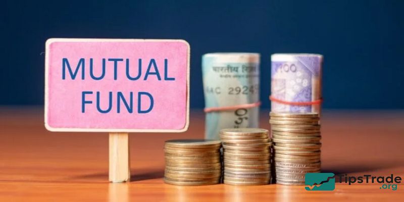 Mutual Funds help investors minimize risks effectively