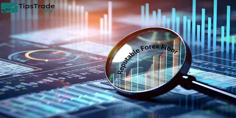Reputable Forex Floor – How to Choose a Trusted Platform for Safe Trading