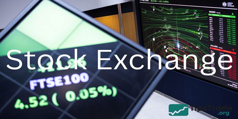 Stock Exchange supports economic growth by facilitating capital raising