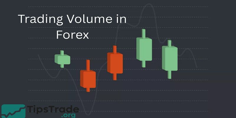Trading Volume in Forex: Beginner’s Guide to Market Liquidity