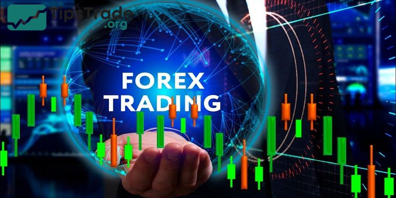 What is forex trading? A detailed guide to forex trading from A - Z