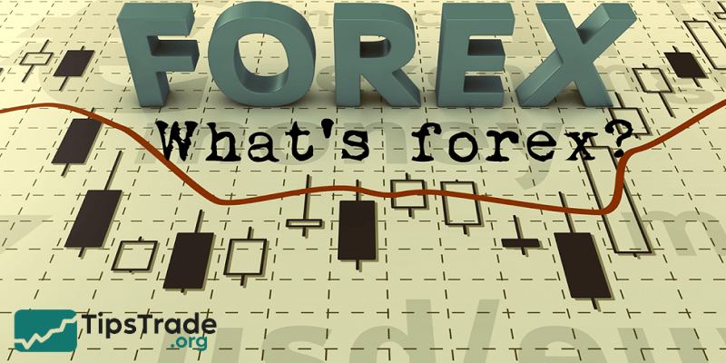 What is Forex? The Complete Guide for Beginners