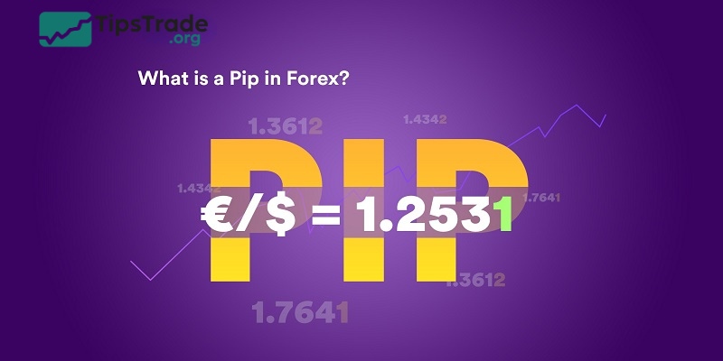 What is PIP in Forex? Accurate calculation guide for traders