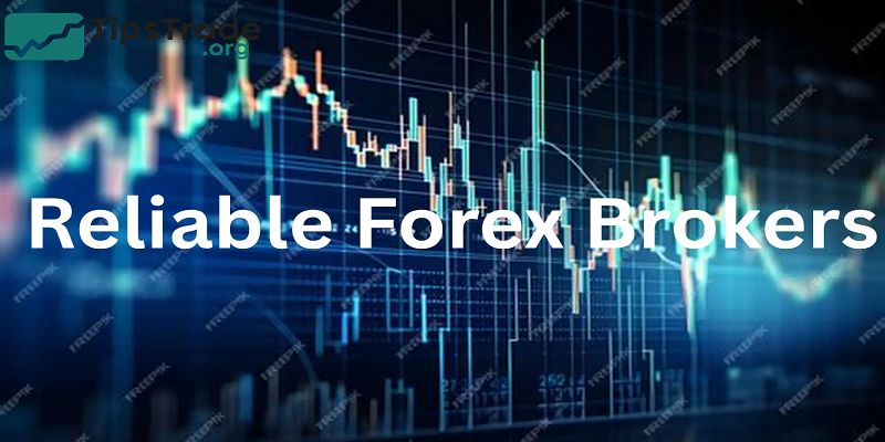 Reliable Forex Brokers: How to Choose the Right Broker for Safe Forex Trading