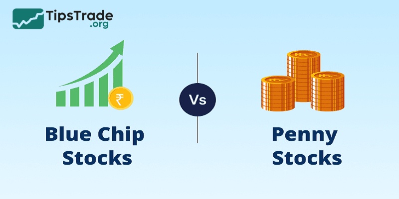 Blue Chip vs Penny Stocks: Which is Suitable for You?