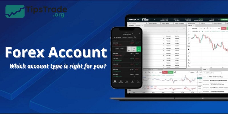 Forex Account: Which account type is right for you?