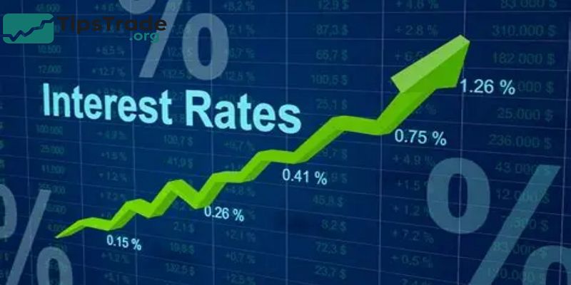 Interest Rates and Stocks: Understanding the Connection That Shapes Market Trends