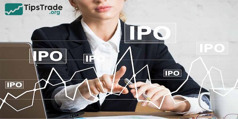 IPO Process: Step-by-Step Guide to Going Public