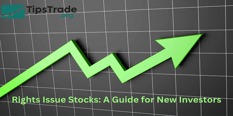 Rights Issue Stocks: A Guide for New Investors