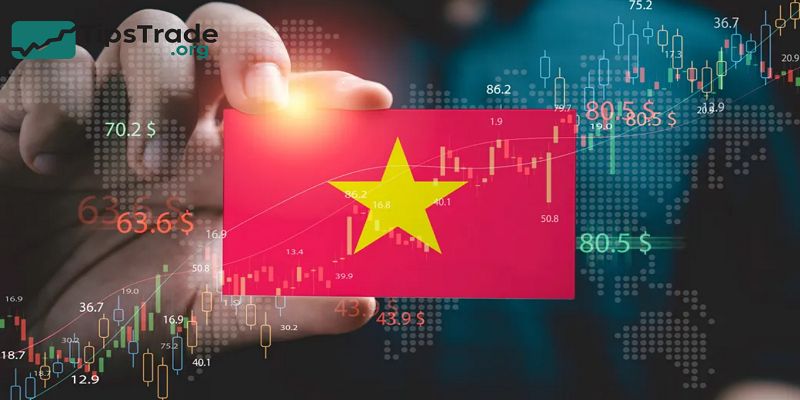 Stock Investing in Vietnam – A Practical Guide for Global and Local Investors