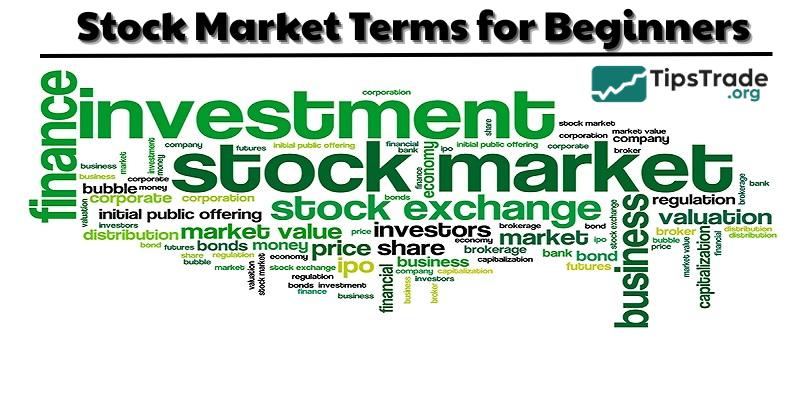 1001 Stock Market Terms for Beginners Should Know