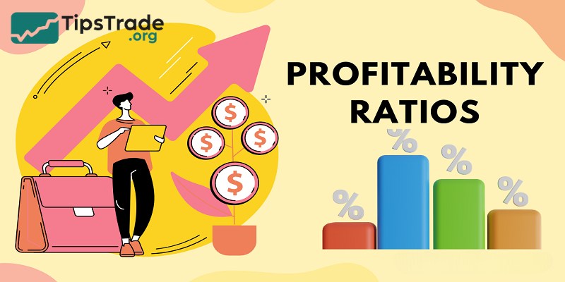 What are Profitability Ratios? Types & Its Significance
