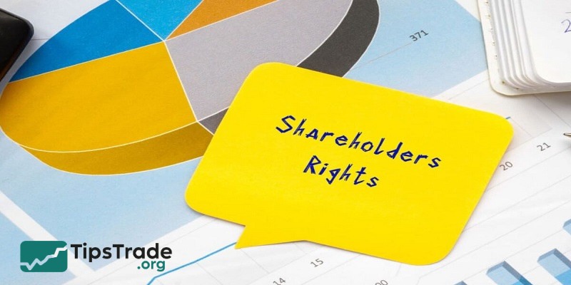 What Are Shareholder Rights? Everything Investors Need to Know