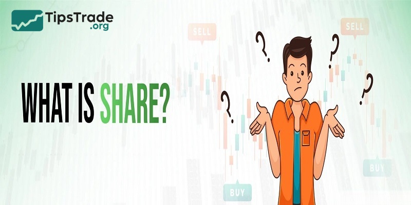 What Are Shares and How Do They Work?