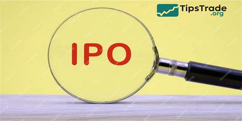 What is IPO? How to Evaluate an IPO Opportunity as an Investor