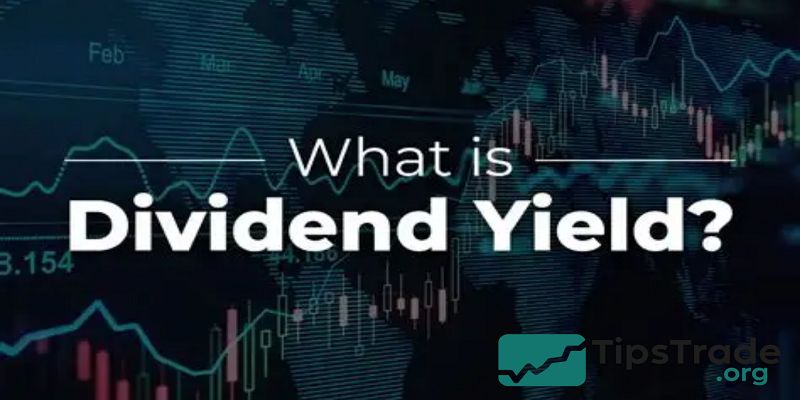 Dividend Yield – Everything Investors Need to Know