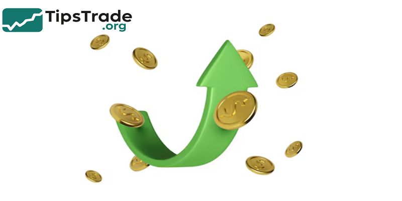 Fund Management Fees: Understanding Costs and How They Affect Your Investments