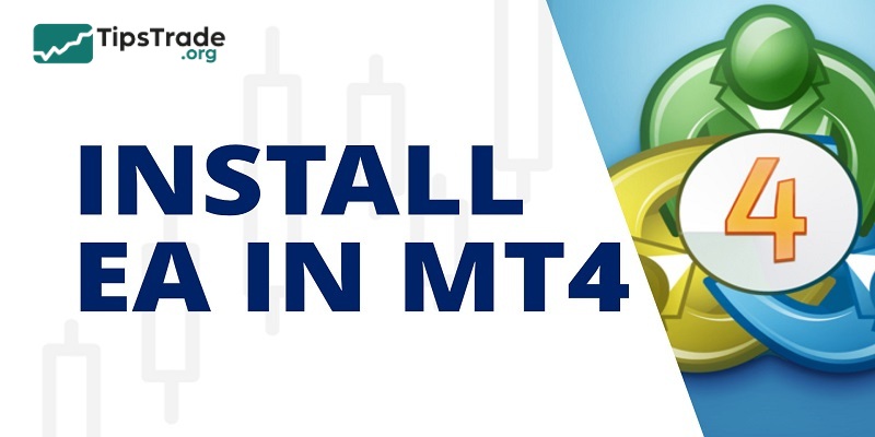 How To Install EA Into MT4? A Step-By-Step Guide
