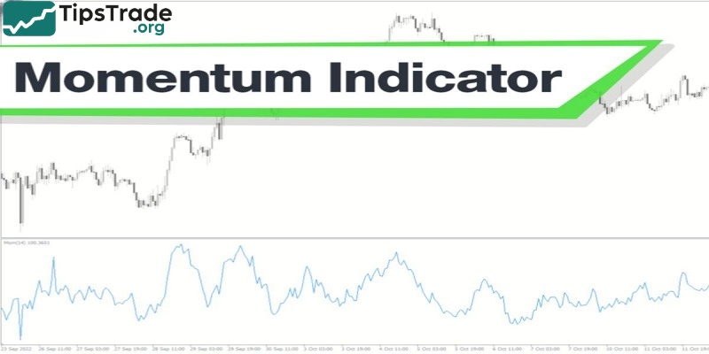 How to Use the Momentum Indicator when Trading