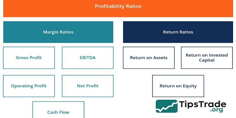 Profitability Ratios – Understanding & Applying Key Metrics to Evaluate Business Performance