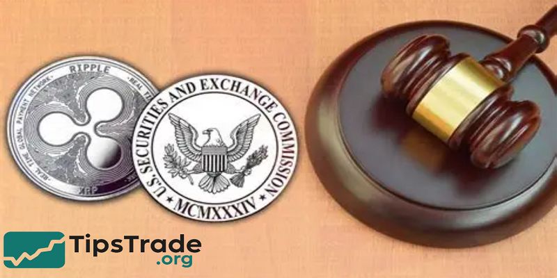 SEC Funds Regulation: A Complete Guide for Investors and Fund Managers