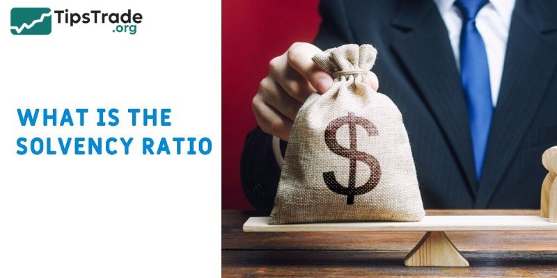 Understanding Solvency Ratios: Types and Their Importance