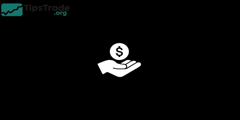 Venture Capital Funds: A Complete Guide for Founders & Investors