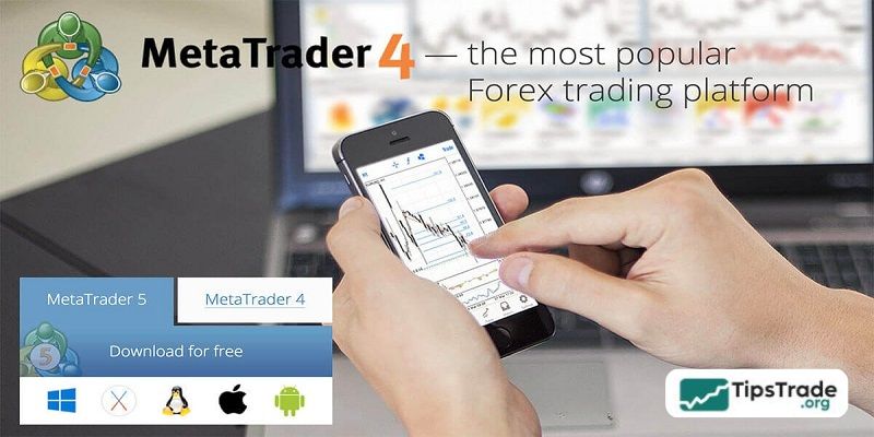What is MT4? A detailed guide on how to download and use MT4