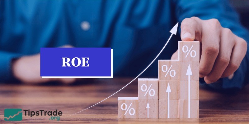 What is ROE? Exact formula to calculate Return On Equity index
