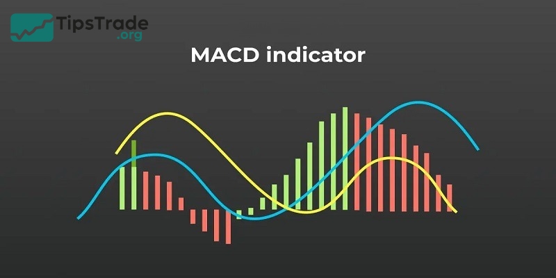 What is the MACD Indicator and How to Use It?
