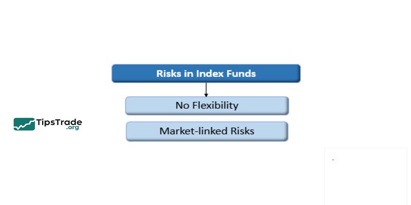 Risks in Index Funds: What Every Investor Should Understand