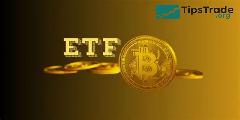 How to Trade ETFs: A Complete Guide for Beginners and Experienced Investors