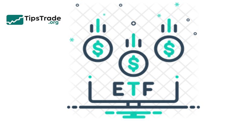 Equity ETFs: A Comprehensive Guide to Stock-Based Exchange-Traded Funds
