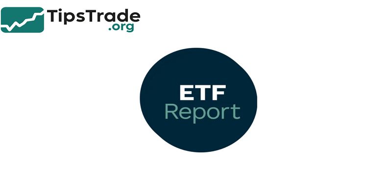 ETF Reports: A Complete Guide to Understanding, Reading, and Using ETF Reports for Smarter Investing