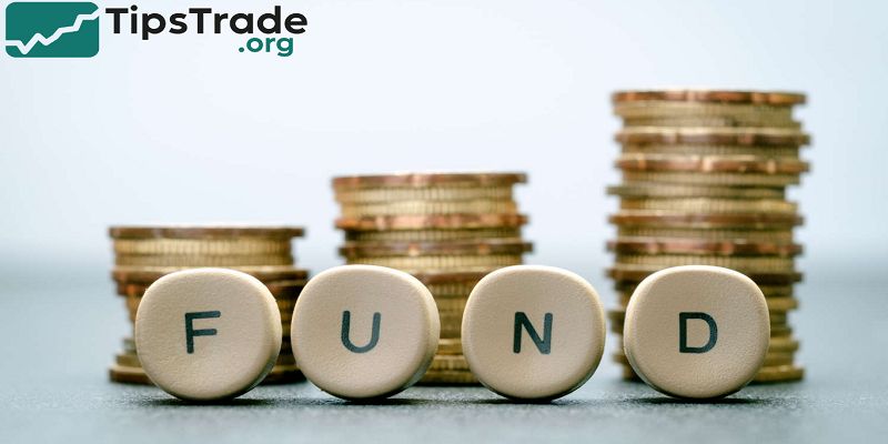 Funds: A Complete Guide to Types, Processes, and How to Invest