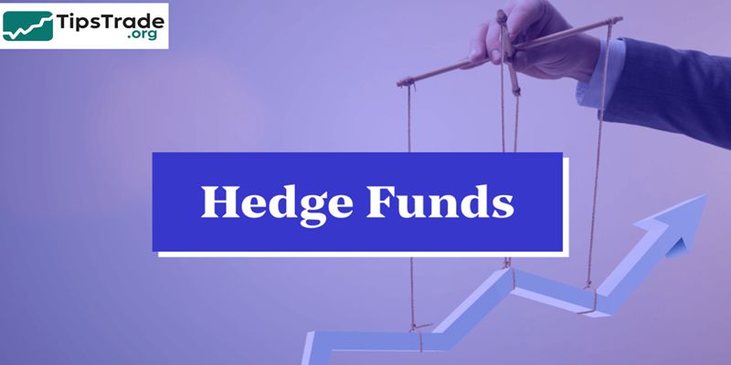 Hedge Funds: A Comprehensive Guide to Structure, Strategies, Risks, and Future Trends