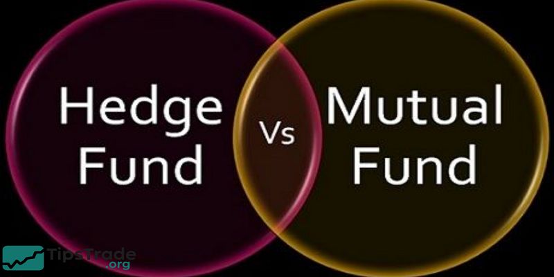 Hedge funds vs mutual funds: Key Differences Every Investor Should Know