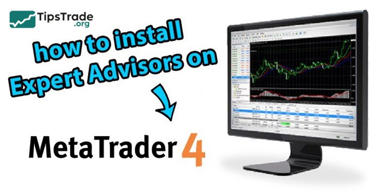 How to Install EA on MT4 in Just 5 Simple Steps