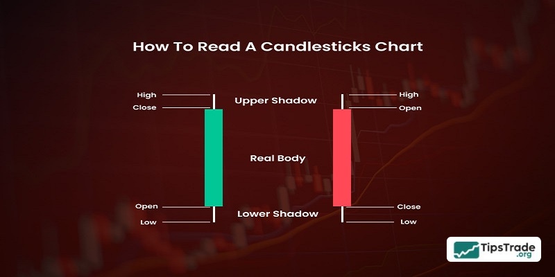 How to read candlestick chart for beginners