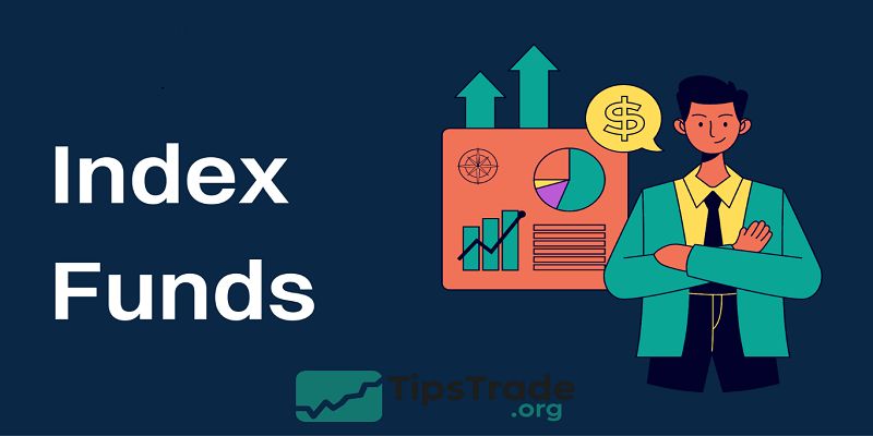 Index Funds: A Complete Guide to Understanding, Choosing, and Investing in Index Funds