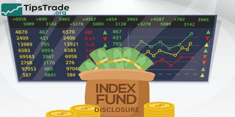 Index Funds Disclosure – What Investors Need to Know About Transparency and Risk